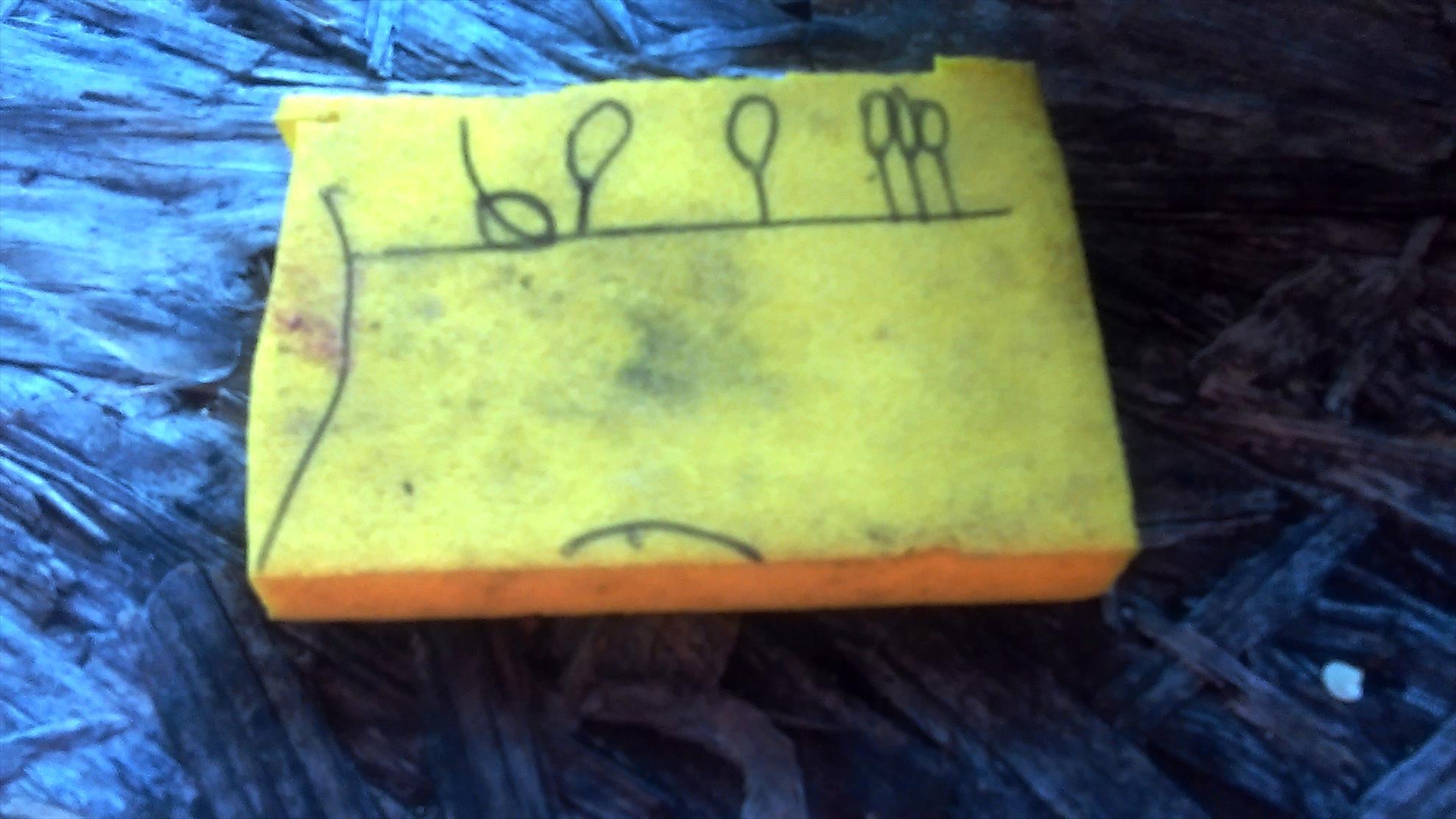 Lacul Teiu 23 - 26 iulie 2015 - a.jpg